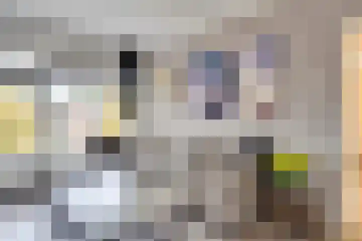 Dukdalf 128 Groningen thumbnail 26