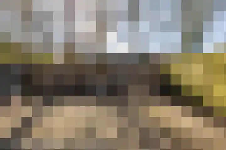 Dukdalf 128 Groningen thumbnail 29