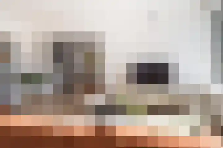 Dukdalf 129 Groningen thumbnail 11