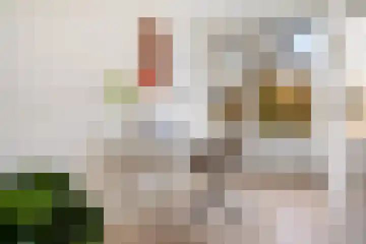 Dukdalf 129 Groningen thumbnail 28