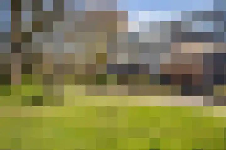 Dukdalf 129 Groningen thumbnail 32