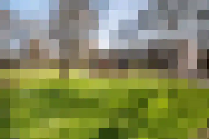 Dukdalf 129 Groningen thumbnail 33
