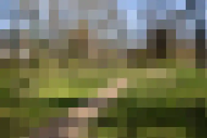 Dukdalf 129 Groningen thumbnail 35