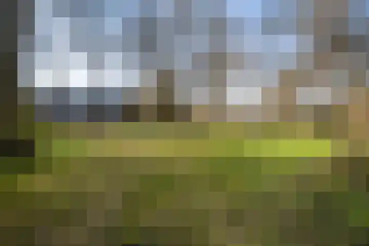 Dukdalf 129 Groningen thumbnail 36
