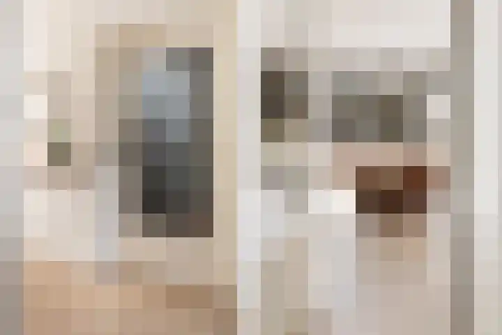 Dukdalf 129 Groningen thumbnail 6
