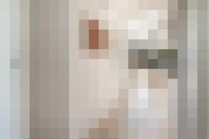 Dukdalf 129 Groningen thumbnail 7