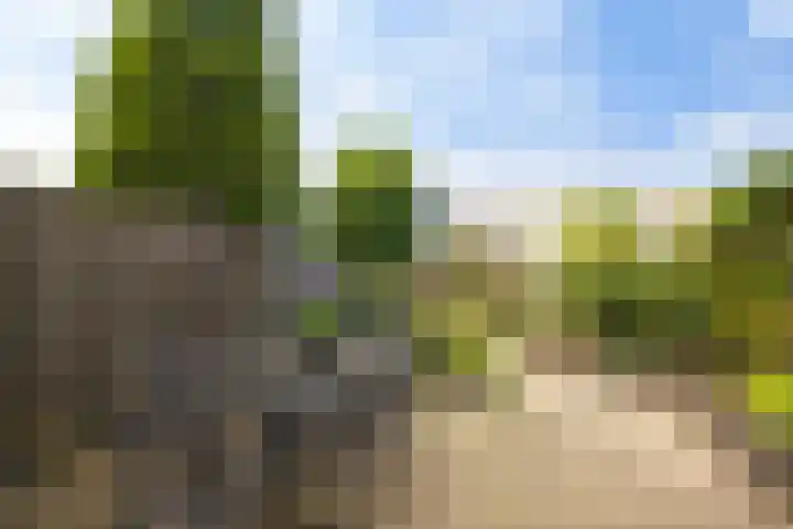 Dullert 69 Huissen thumbnail 12