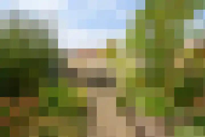 Dullert 69 Huissen thumbnail 13