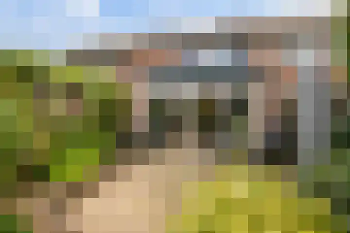 Dullert 69 Huissen thumbnail 15