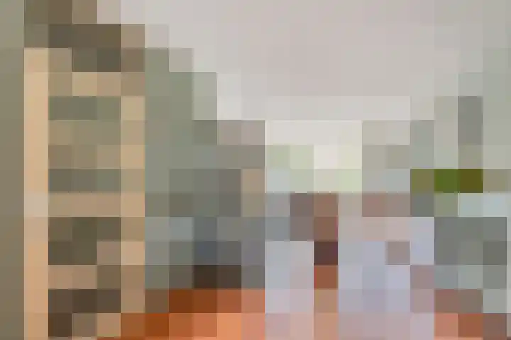 Dullert 69 Huissen thumbnail 17