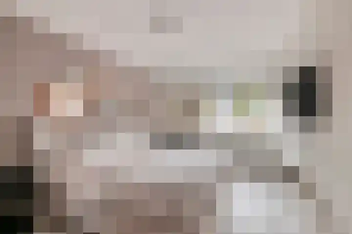 Dullert 69 Huissen thumbnail 18