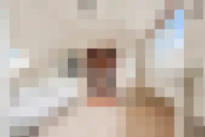 Dullert 69 Huissen thumbnail 24