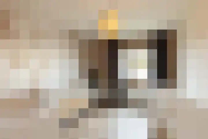 Dumasweg 33 e Neede thumbnail 20