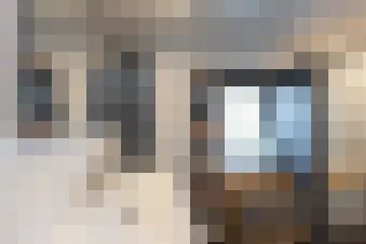Dumasweg 33 e Neede thumbnail 24