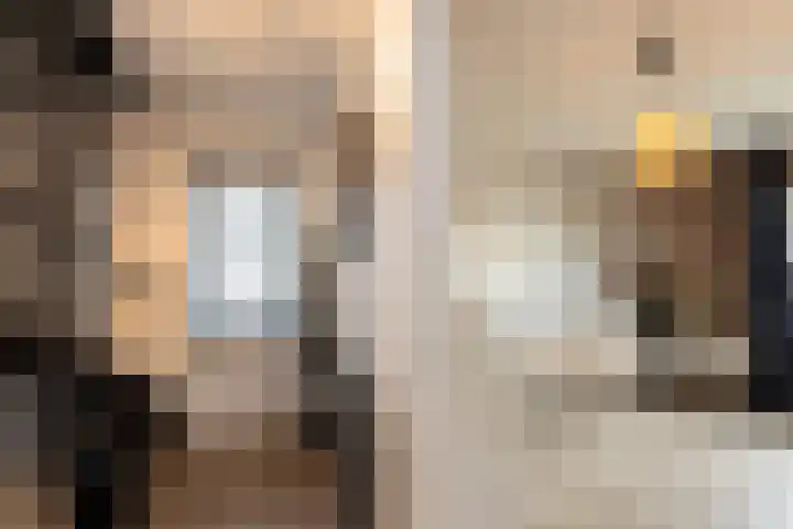 Dumasweg 33 e Neede thumbnail 28