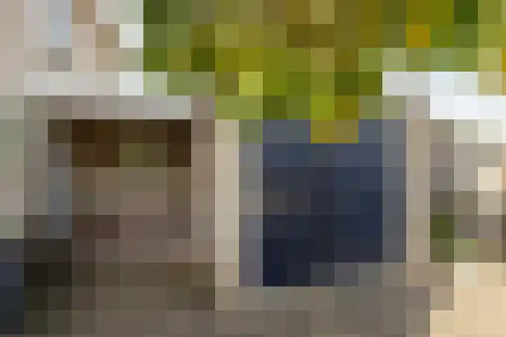 Dumasweg 33 e Neede thumbnail 41