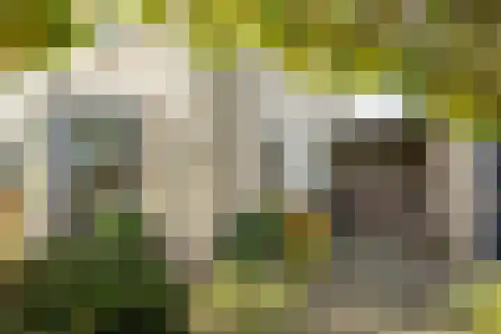 Dumasweg 33 e Neede thumbnail 42