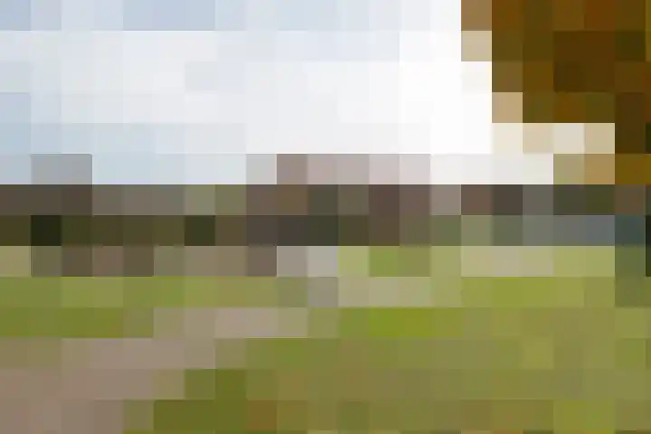 Dumasweg 33 e Neede thumbnail 45