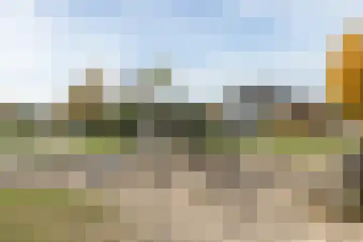 Dumasweg 33 e Neede thumbnail 46