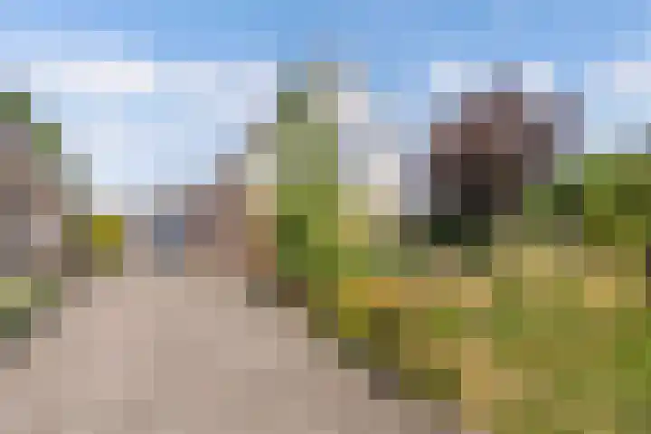 Dûmnysbosk 20 en Nij Beets