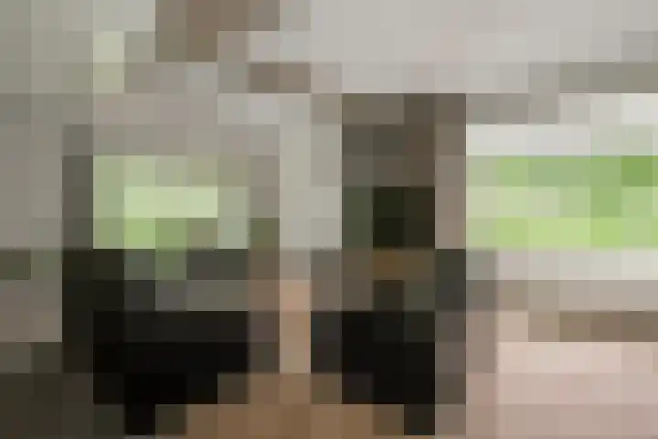 Dunantstraat 16 Didam thumbnail 10