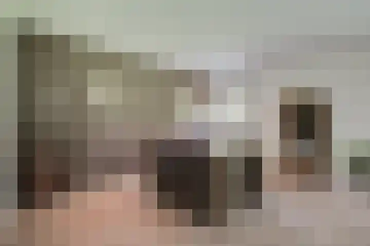 Dunantstraat 16 Didam thumbnail 12