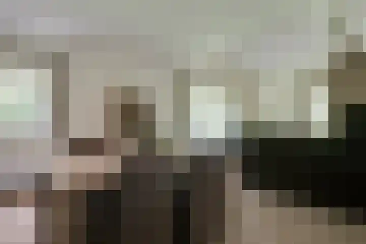 Dunantstraat 16 Didam thumbnail 13