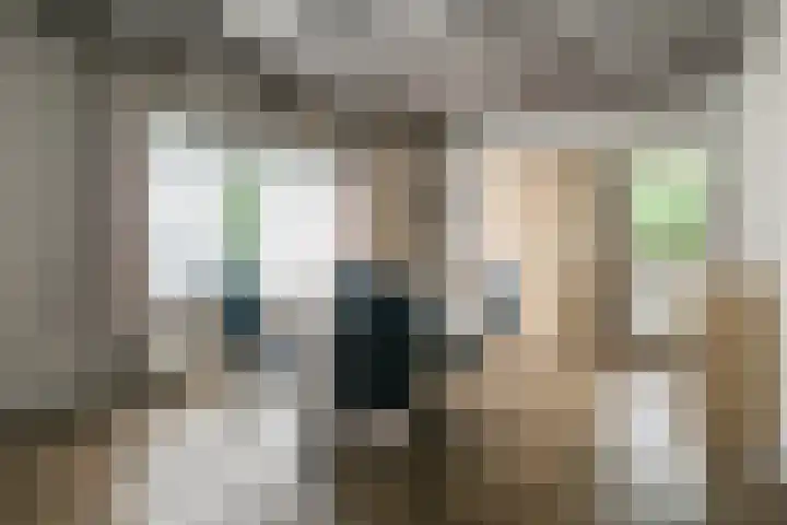 Dunantstraat 16 Didam thumbnail 21