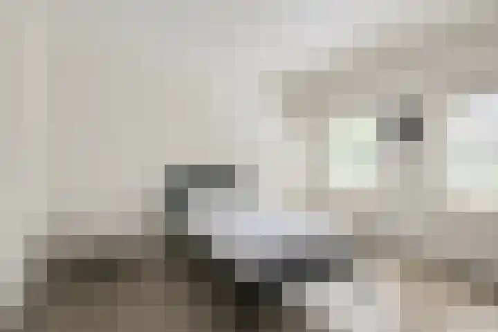 Dunantstraat 16 Didam thumbnail 23