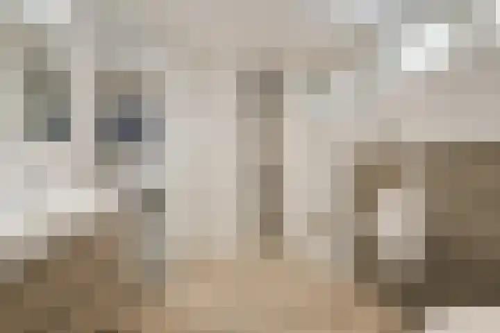 Dunantstraat 16 Didam thumbnail 25