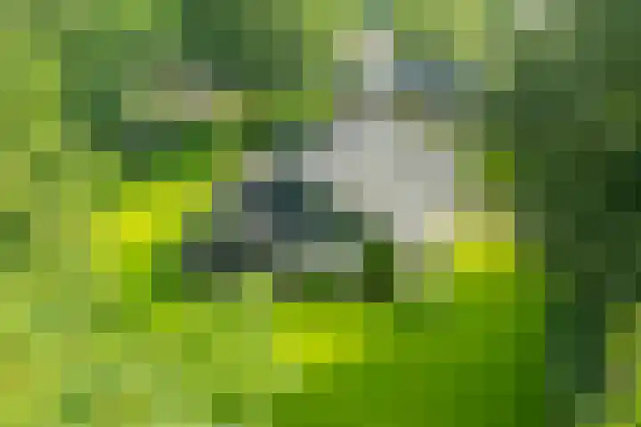 Dunantstraat 16 Didam thumbnail 4