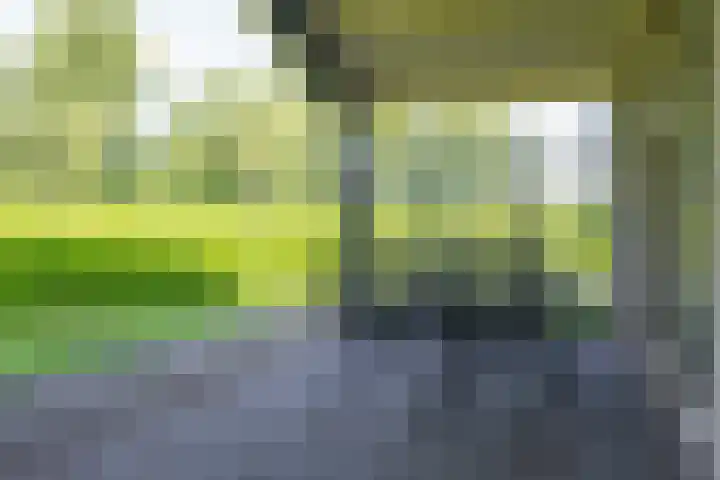 Dunantstraat 16 Didam thumbnail 46
