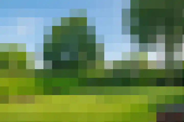 Dunantstraat 16 Didam thumbnail 47