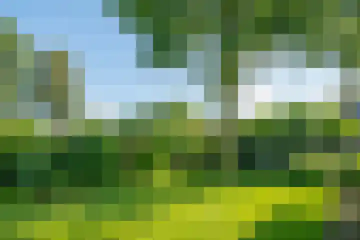 Dunantstraat 16 Didam thumbnail 49