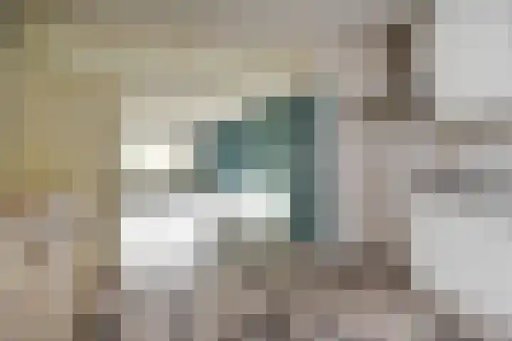 Dunantstraat 164 Zoetermeer thumbnail 10