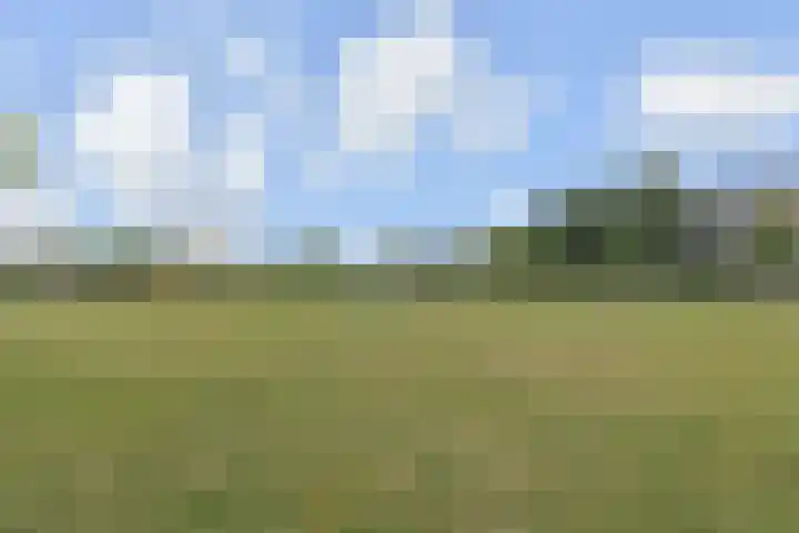 Dunantstraat 164 Zoetermeer thumbnail 32