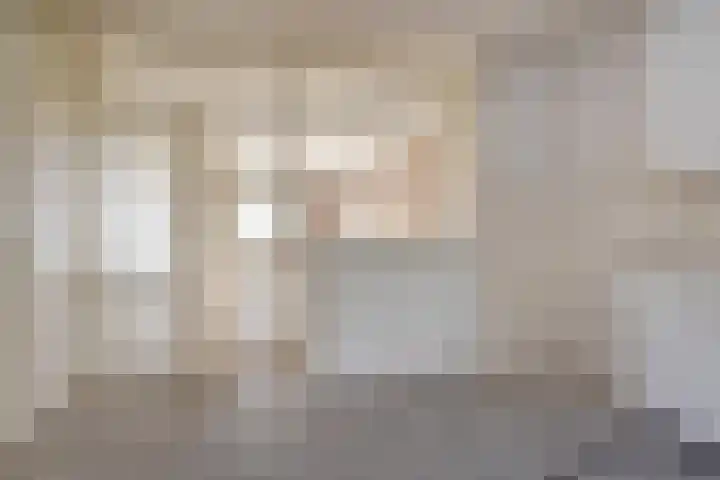 Dunantstraat 200 Zoetermeer thumbnail 11