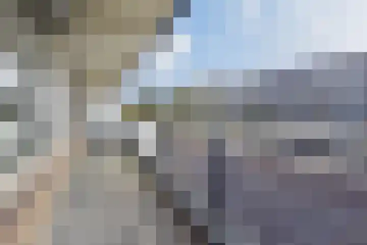 Dunantstraat 200 Zoetermeer thumbnail 14