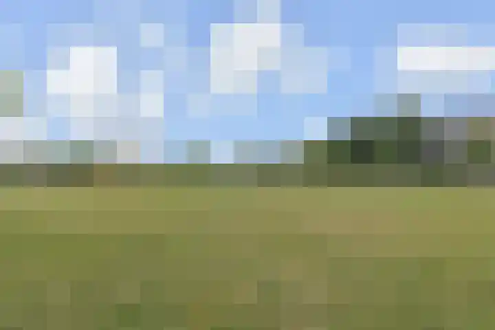 Dunantstraat 200 Zoetermeer thumbnail 35