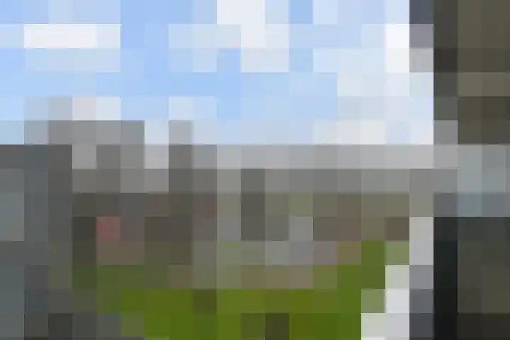 Dunantstraat 232 Zoetermeer thumbnail 18
