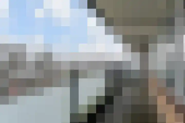 Dunantstraat 232 Zoetermeer thumbnail 19