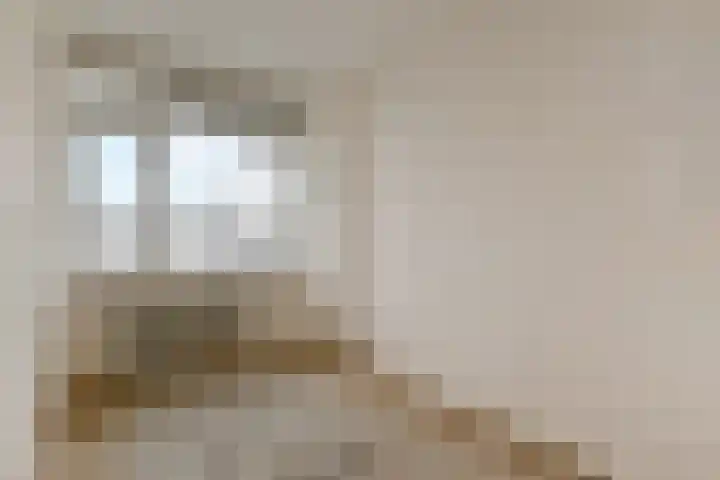 Dunantstraat 232 Zoetermeer thumbnail 25