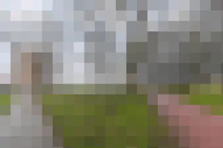 Dunantstraat 232 Zoetermeer thumbnail 32