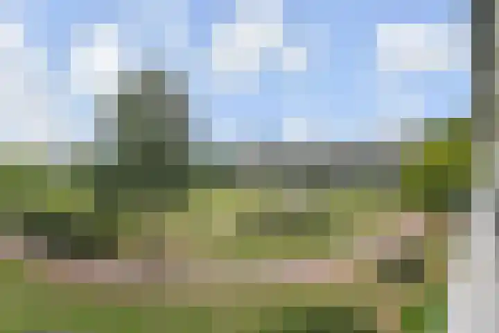 Dunantstraat 328 Zoetermeer thumbnail 24