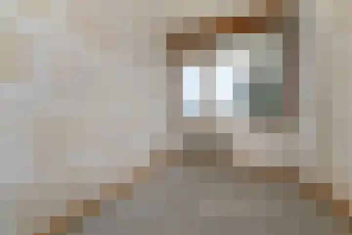 Dunantstraat 328 Zoetermeer thumbnail 35