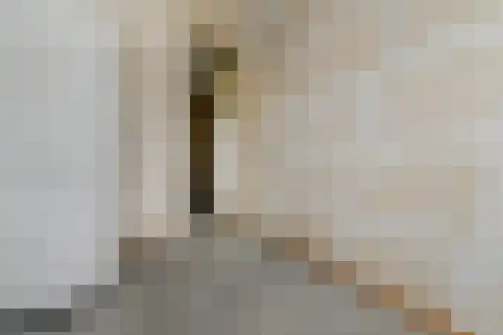 Dunantstraat 328 Zoetermeer thumbnail 36