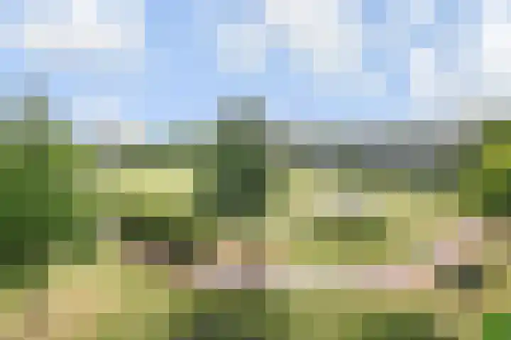 Dunantstraat 362 Zoetermeer thumbnail 30