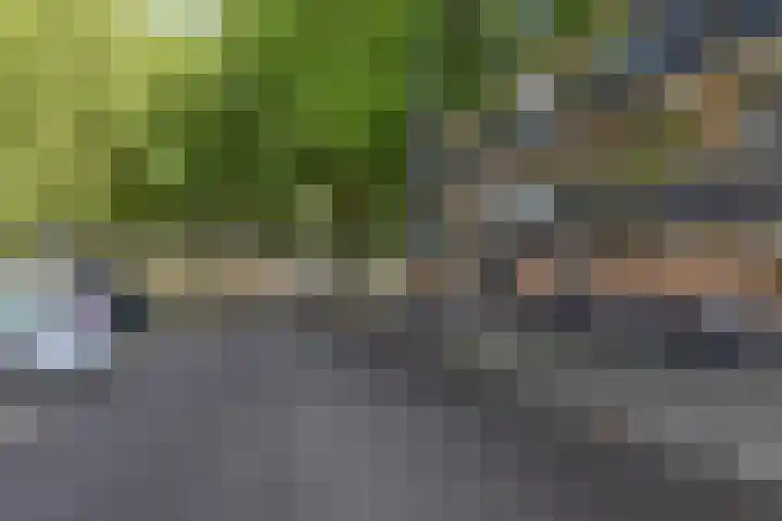 Dunantstraat 362 Zoetermeer thumbnail 4