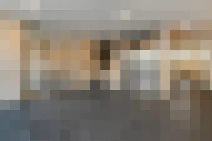 Dunantstraat 362 Zoetermeer thumbnail 6