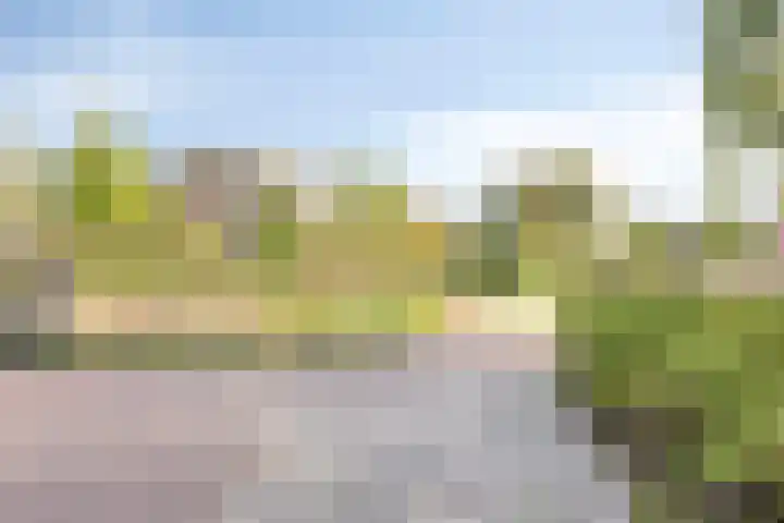 Dunantstraat 552 Zoetermeer thumbnail 29